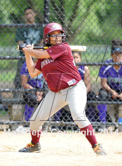 Thumbnail 2 in Morris @ Health Profession (PSAL Quarterfinal Playoff) photogallery.