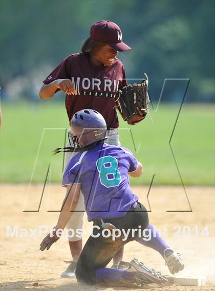 Thumbnail 1 in Morris @ Health Profession (PSAL Quarterfinal Playoff) photogallery.