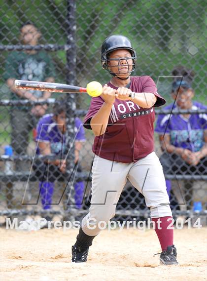 Thumbnail 1 in Morris @ Health Profession (PSAL Quarterfinal Playoff) photogallery.