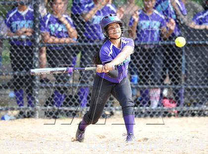 Thumbnail 2 in Morris @ Health Profession (PSAL Quarterfinal Playoff) photogallery.