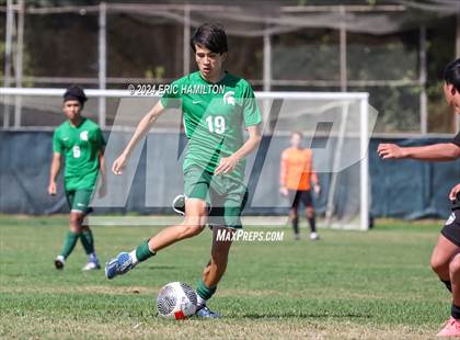 Thumbnail 1 in Bishop Montgomery @ South (Scrimmage) photogallery.