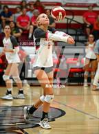 Photo from the gallery "Piedmont @ San Rafael"