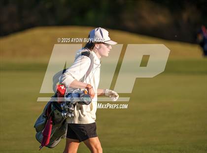 Thumbnail 2 in West Frisco Classic photogallery.