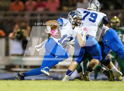 Thumbnail 3 in Bartram Trail @ Fleming Island photogallery.