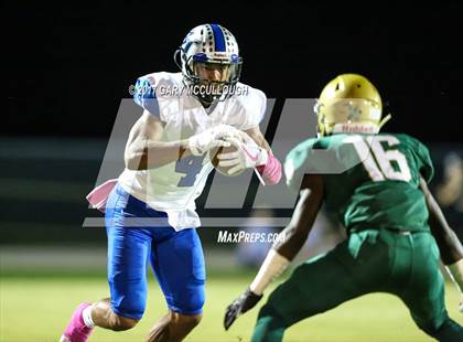 Thumbnail 3 in Bartram Trail @ Fleming Island photogallery.
