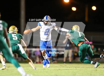 Thumbnail 2 in Bartram Trail @ Fleming Island photogallery.