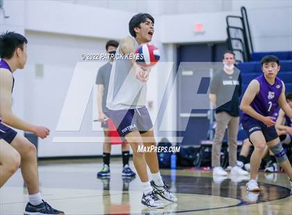 Thumbnail 1 in Portola @ Beckman photogallery.