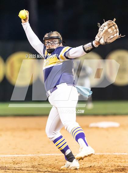 Thumbnail 2 in DeSoto Central @ Lake Cormorant photogallery.