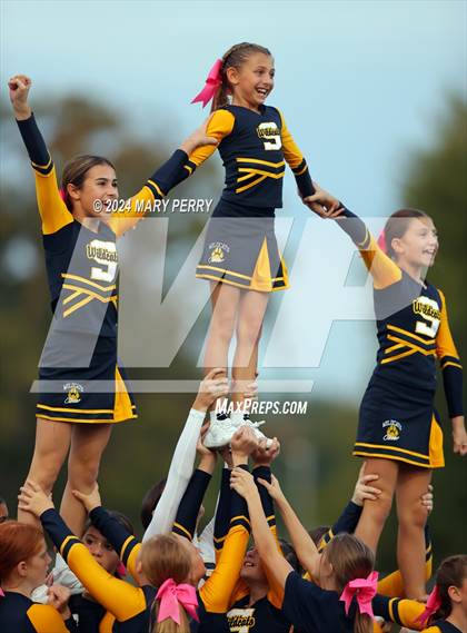 Thumbnail 2 in Rochester @ Shenango photogallery.