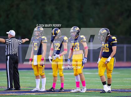 Thumbnail 3 in Rochester @ Shenango photogallery.