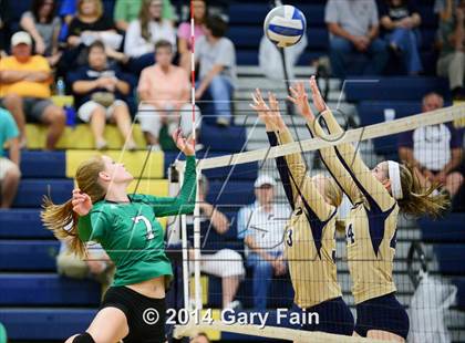 Thumbnail 2 in East Hamilton @ Soddy Daisy photogallery.