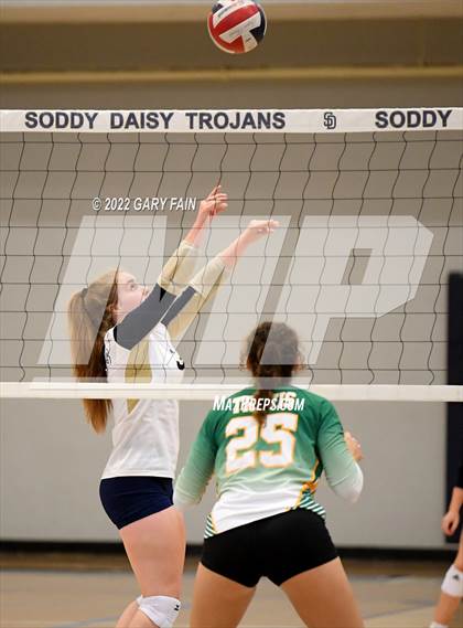 Thumbnail 3 in Rhea County @ Soddy Daisy photogallery.