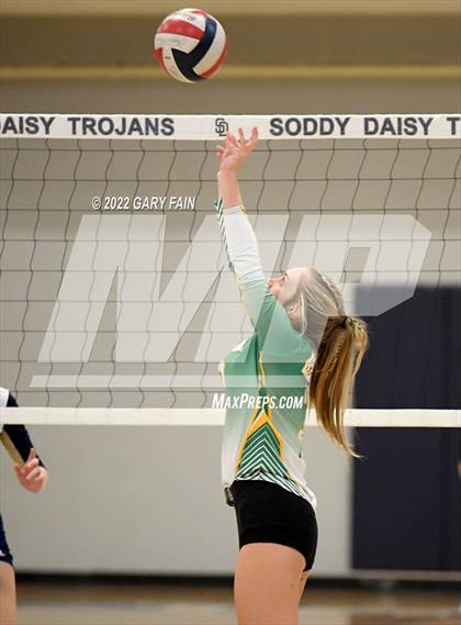 Thumbnail 1 in Rhea County @ Soddy Daisy photogallery.
