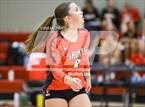 Photo from the gallery "St. Helena @ Healdsburg"