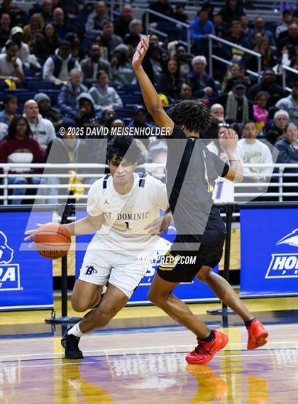 Thumbnail 3 in St. Anthony's vs. St. Dominic's (CHSAA Class A Quarterfinal) photogallery.