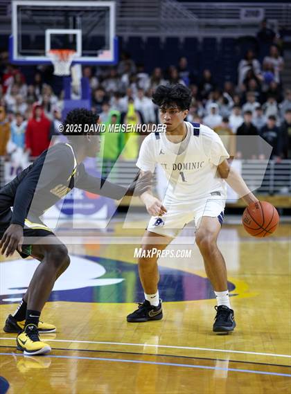 Thumbnail 1 in St. Anthony's vs. St. Dominic's (CHSAA Class A Quarterfinal) photogallery.