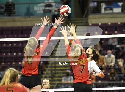 Thumbnail 1 in Mead @ Coronado (CHSAA 4A Playoff) photogallery.