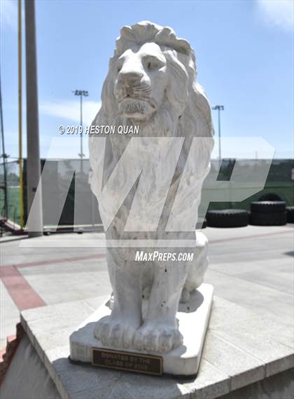Thumbnail 2 in Mater Dei (Preseason Photo Shoot) photogallery.