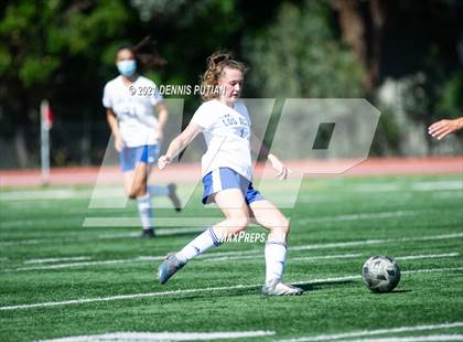 Thumbnail 1 in Los Altos @ Los Gatos  photogallery.