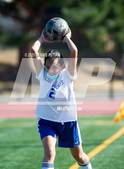 Thumbnail 3 in Los Altos @ Los Gatos  photogallery.