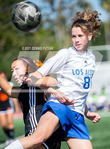 Thumbnail 2 in Los Altos @ Los Gatos  photogallery.