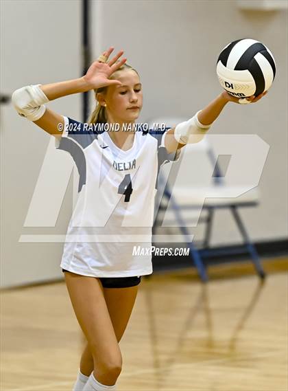 Thumbnail 2 in Shelbyville @ Delta photogallery.