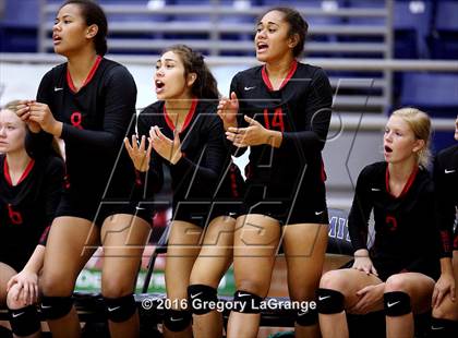 Thumbnail 3 in Trinity vs. Waxahachie photogallery.