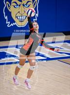 Photo from the gallery "Gravette @ Harrison"