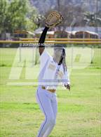 Photo from the gallery "Arcadia @ Muir"