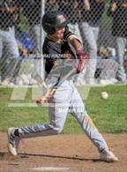 Photo from the gallery "Arcadia @ Muir"