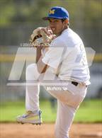 Photo from the gallery "Arcadia @ Muir"