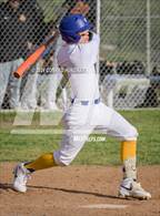 Photo from the gallery "Arcadia @ Muir"