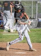 Photo from the gallery "Arcadia @ Muir"