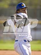 Photo from the gallery "Arcadia @ Muir"