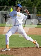 Photo from the gallery "Arcadia @ Muir"