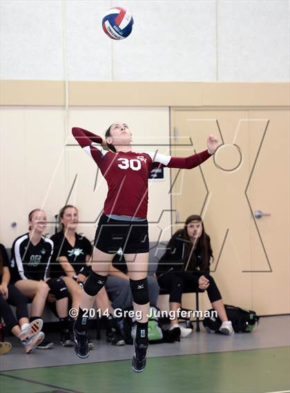 Thumbnail 1 in Rancho Cotate vs. Cardinal Newman (Greg Paganini Invitational) photogallery.