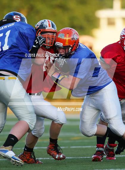 Thumbnail 2 in Frank Varischetti All-Star Classic photogallery.