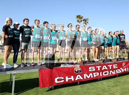 Thumbnail 3 in State Cross Country ( AIA Div1-4 Finals) photogallery.