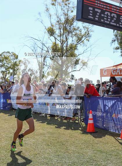 Thumbnail 3 in State Cross Country ( AIA Div1-4 Finals) photogallery.