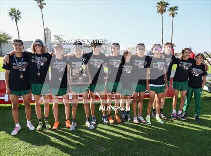 Thumbnail 2 in State Cross Country ( AIA Div1-4 Finals) photogallery.