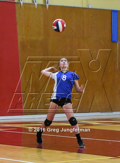 Thumbnail 2 in Analy @ Cardinal Newman photogallery.