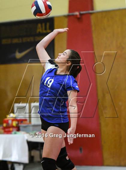 Thumbnail 1 in Analy @ Cardinal Newman photogallery.