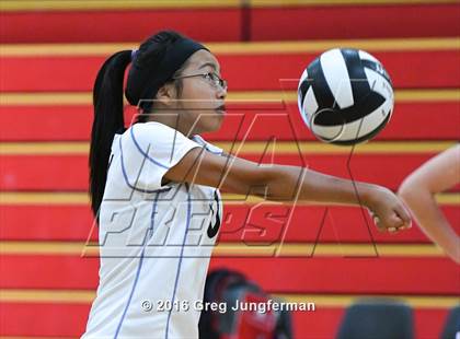 Thumbnail 3 in Analy @ Cardinal Newman photogallery.