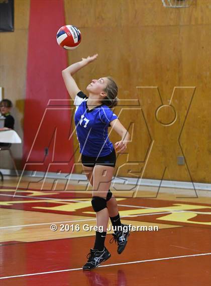 Thumbnail 2 in Analy @ Cardinal Newman photogallery.