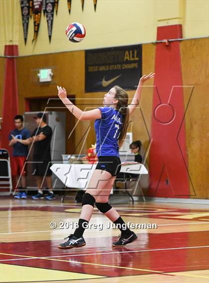 Thumbnail 2 in Analy @ Cardinal Newman photogallery.