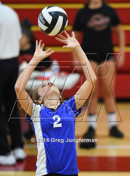 Thumbnail 2 in Analy @ Cardinal Newman photogallery.