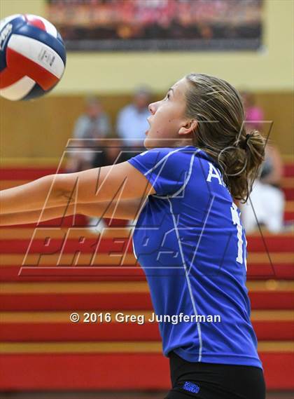Thumbnail 1 in Analy @ Cardinal Newman photogallery.