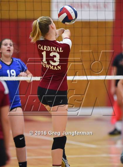 Thumbnail 3 in Analy @ Cardinal Newman photogallery.