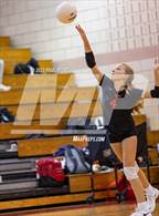 Photo from the gallery "Apex @ Middle Creek"