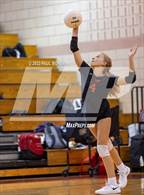 Photo from the gallery "Apex @ Middle Creek"